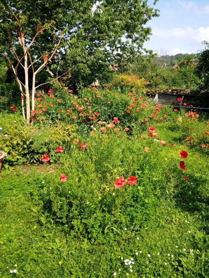 Nutzen Sie diese neue Ausgabe von Rendez-vous aux jardins, um die wunderschönen Familiengärten von Moulin de la Porte frei zu besuchen!