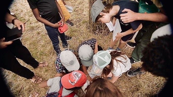 ATELIER & BALADE / Le Parc des Beaumonts : des trésors de biodiversité, des espaces à découvrir, apprendre en s'amusant !