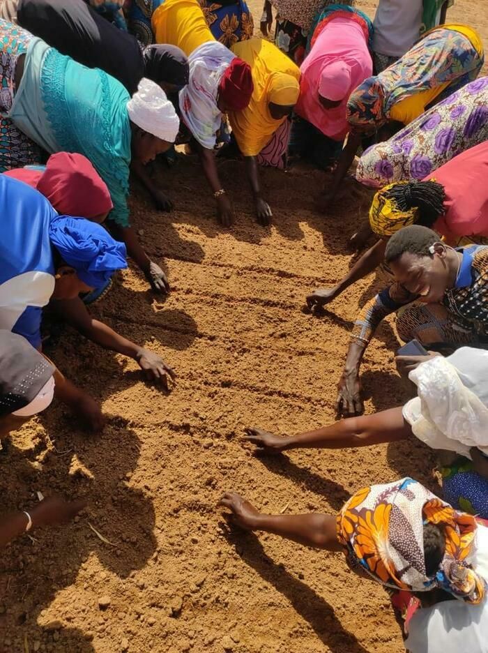 Découverte de l'activité de Peuples Solidaires suivi d'un échange avec un partenaire au Burkina-Faso, d'un quizz sur l'agroécologie et d'une auberge espagnole