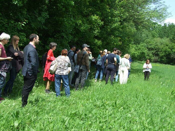 Für diejenigen, die interessiert sind, bieten wir Führungen über die Flora des Gartens und die darin gefundenen Vogelgeräusche an, die von Gábor Bottlik erklärt werden. Dr. Mária Höhn wird einen Vort…