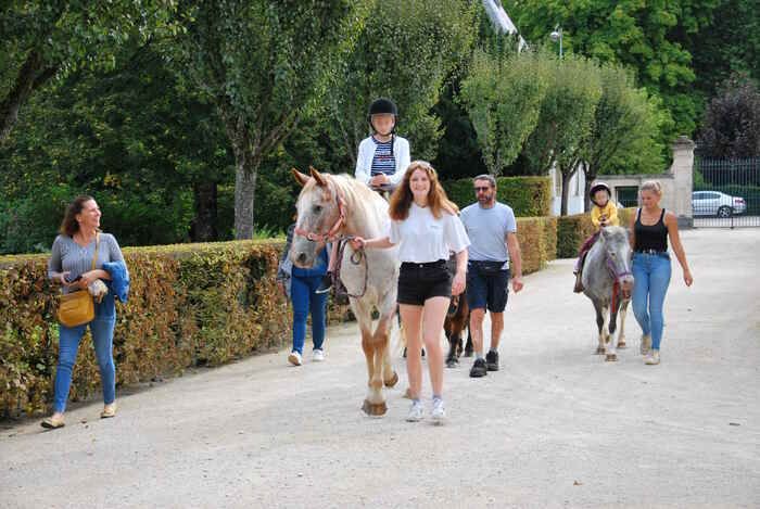 Steigen Sie in die Höhe und reiten Sie unter den hohen Bäumen! Die «Ponys Ostapek» bringen Sie auf eine andere Weise in den Garten!