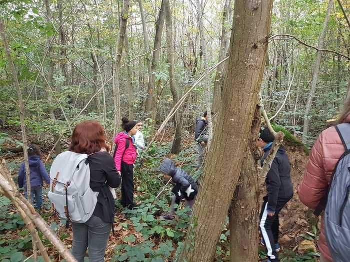 BALADE / Découvrez le bois de Bondy au travers d'un jeu de piste !!