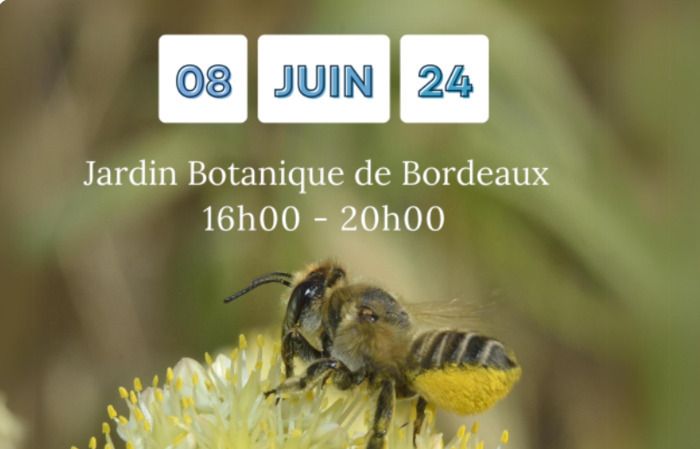 conférence, rencontre et discussions autour des insectes pollinisateurs