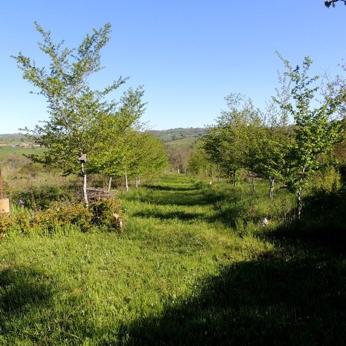 Auf dem Höhepunkt des Frühlings verzaubert der Wald-Garten die Sinne in einer Fülle von Pflanzen und Tieren, die frei sind, sich in einem halb-erholsamen, halb produktiven Raum zu entwickeln.