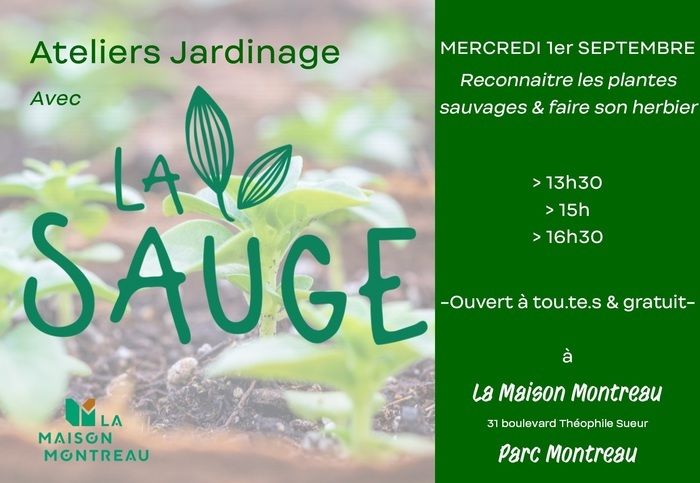 Reconnaitre les plantes sauvages et faire son herbier