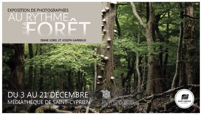 Exposition photos "Au rythme de la forêt"