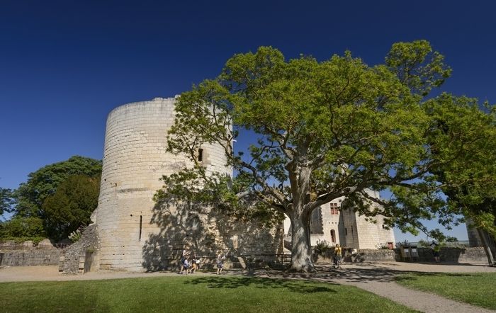 Für dieses Wochenende der Termine im Garten lädt die königliche Festung von Chinon Sie ein, Ihre Sinne in unserem Park zu wecken.