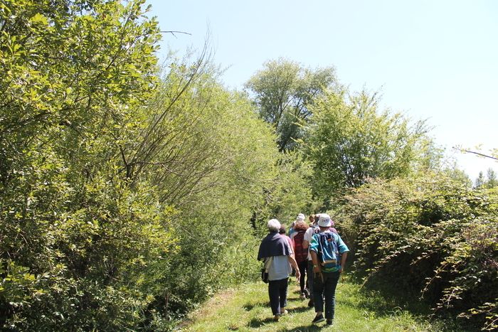 Ce parc étonne pour la présence d’un écosystème bocager aux portes de la ville de Bordeaux, où l’on peut croiser insectes, fleurs ou oiseaux migrateurs.