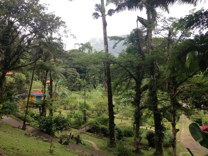 9.15 Uhr - Führung durch den ethnobotanischen Garten