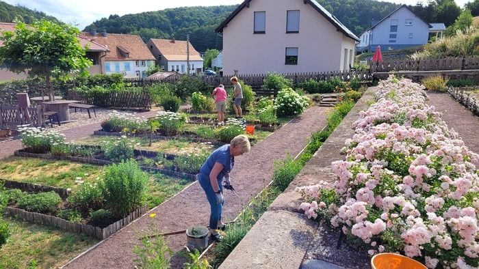 Führung durch den Garten, Animationen zum Thema 5 Sinne, kleine Restaurierung.