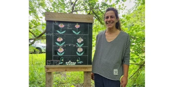 Gehen Sie durch die Ausstellung "Kopf im Bienenstock" zwischen Kunst, Flora und Insekten. Spazieren Sie zwischen dem Park und dem Ökomuseum in einer zeitlosen und unterhaltsamen Umgebung.