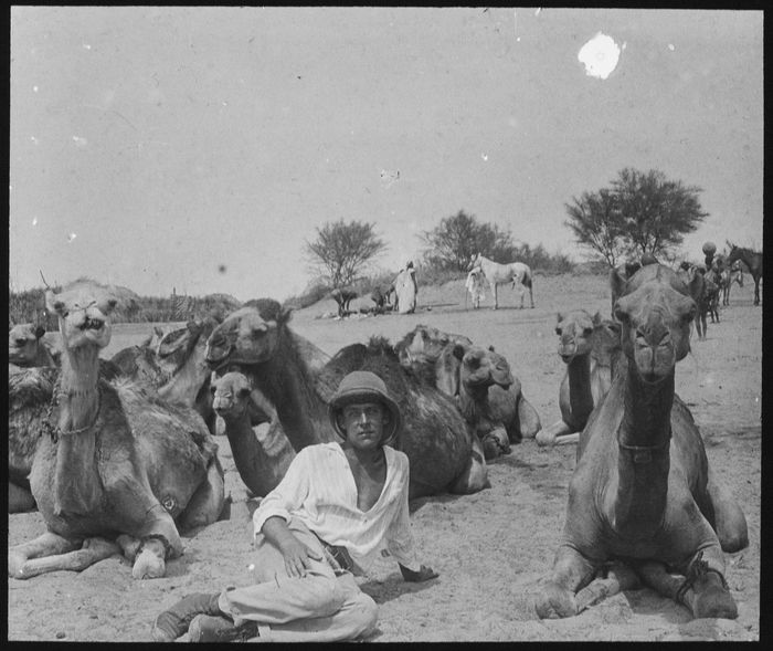 Embarquez avec nous dans un voyage au Maroc à travers des photographies exceptionnelles de Jean Thomas, explorateur toulousain. Et sans bouger de votre siège !