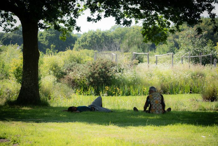 Ausnahmsweise für diese Veranstaltung wird die Garteninsel Kervolan auf einem freien Besuch sein. 1,5 ha Gehege im Ziergarten und auf dem Mikro-Blumenhof sind möglich...