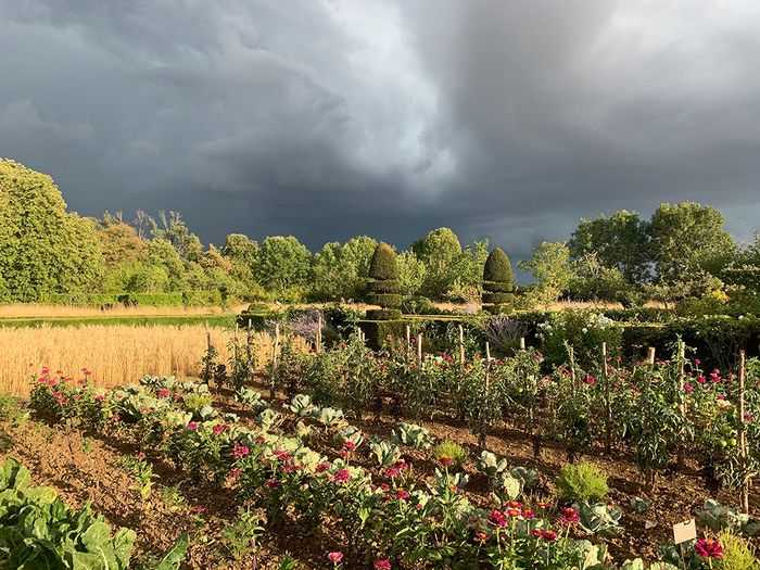 Anlässlich der Veranstaltung Rendez-vous aux jardins 2024 laden wir Sie ein, diesen englischen Park und diesen Blumengarten mit dem Label «Jardin bemerkenswerte» zu besuchen.