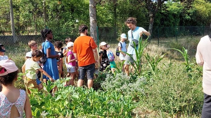 Anlässlich des Gartentreffens 2024 laden wir Sie ein, mit all Ihren Sinnen in einem Erlebnisworkshop im Garten zu spielen. Es wird von der Vereinigung der kleinen Déb...