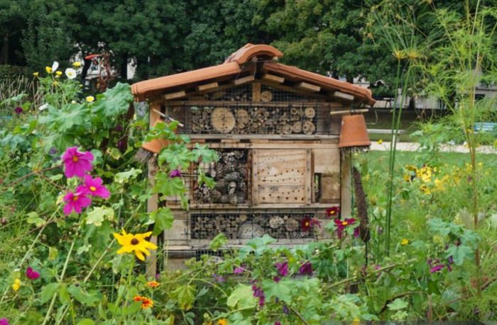 Bei diesem Workshop lernen die Kinder das Leben der Insekten im Garten kennen und können ihr eigenes Insektenhotel für den Garten bauen!