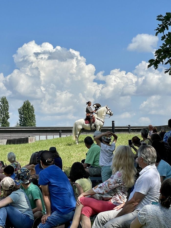 Erleben Sie dieses großartige Spektakel mit Stunts, Schlachten zwischen Galliern und Römern und viel Humor! Begeben Sie sich auf eine große Kavalkade im Rhythmus der Pferde...