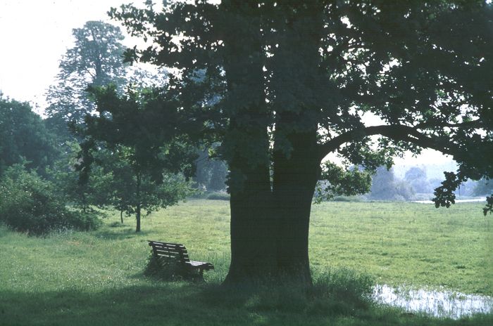 Im Garten ist eine Vielzahl an freimaurerischen Symbolen versteckt, die wir bei der Führung entdecken.