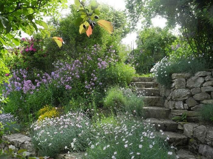 Das Gartenjahr beginnt mit Farbtupfern da und dort und steigert sich, bis Ende Mai ein einziges Blütenmeer rund um die Obere Mühle wogt