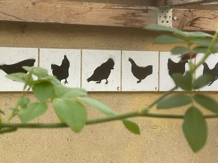 Immer wieder in Veränderung - Baustofflager, Kinderspielplatz, Bogenschußanlage, Hühnerwiese, Wildtierparadies. Inmitten der Stadt gelegen finden sich in unserem Garten gestaltete und wilde Bereiche.