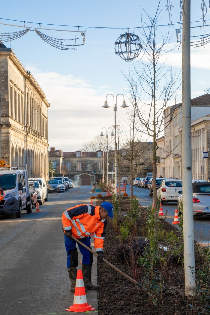 Entdecken Sie die jüngsten Entwicklungen in der Stadt rund um die Grünflächen, die darauf abzielen, sie an die klimatischen Herausforderungen anzupassen: Schaffung von Inseln der Frische, Entwässerung