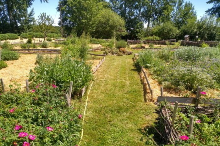 Freie Fahrt im Garten von Claire und Sebastian