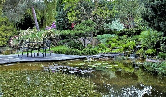 Spazieren im Wassergarten, entdecken Sie neue Errungenschaften und geniessen Sie die Mundlandschaft!