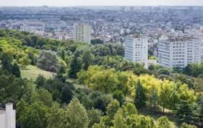 BALADE / Cette balade permettra d’identifier les principales espèces d’arbres présentes dans le parc, d’aborder la morphologie, la reproduction et le fonctionnement des espèces ligneuses.