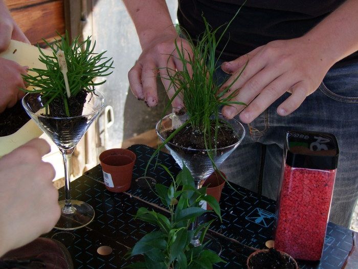 Tasse ébréchée, chaussure du passé, vieux livres empilés... détournez vos objets usagés en jardinières insolites tout en vous initiant au jardinage en petits contenants. La récup' passe au vert.