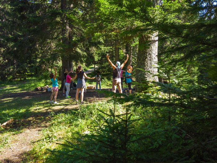 Balade herboriste, bain de foret, yoga et relaxation sonore au gong et bols tibétains