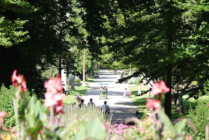 Der Verein Lions Club Vittel Eaux Vives bietet einen botanischen Spaziergang durch den Thermalpark. Entdecken oder entdecken Sie die verschiedenen Baumarten im Park.