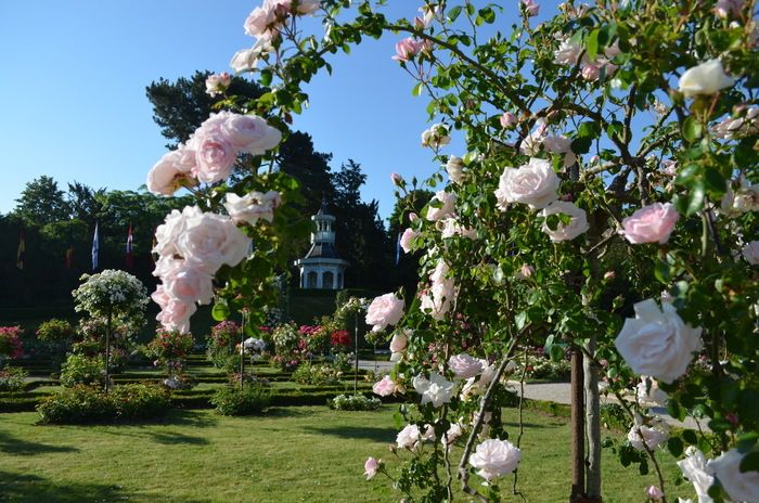 Präsentation Botanischer Garten Paris