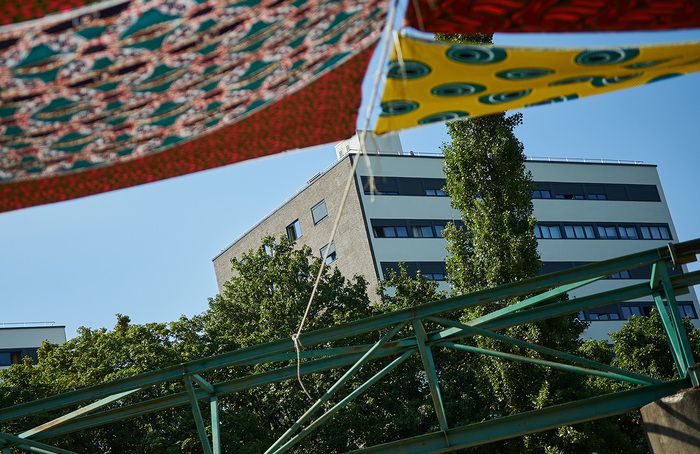 SPECTACLE / Miele et Pétunia, clowns du quartier vont venir vous chercher dans le parc, déambuler entre les pique-niques pour vous amuser