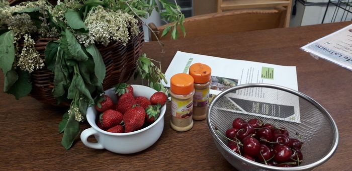 Die pflanzlichen Ressourcen im Garten sind reichlich vorhanden. In diesem kurzen Workshop lernen Sie, aus den seit dem Mittelalter angebauten Pflanzen einen natürlichen Sirup herzustellen.