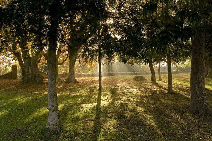 Ein paar Stühle unter den Buchen, eine englische Bank auf dem Rasen, die Frische des Randes der Arros und Vogelgezwitscher: die Einrichtung ist gepflanzt. Einige Texte gelesen von der Firma La Diagona