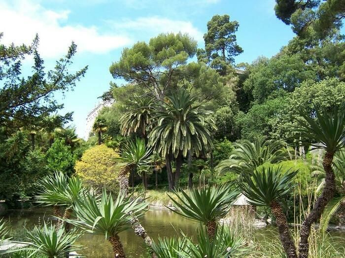 Entdecken Sie den Reichtum des Botanischen Parks Valrose mit einer einstündigen Führung zum Thema Heilpflanzen. Weitere Informationen finden Sie unter dem Anmeldelink Weezev...