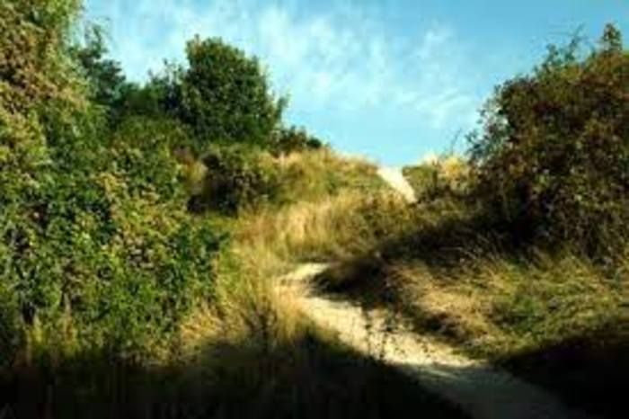 Parcours ludique autour des arbres du parc des Beaumonts