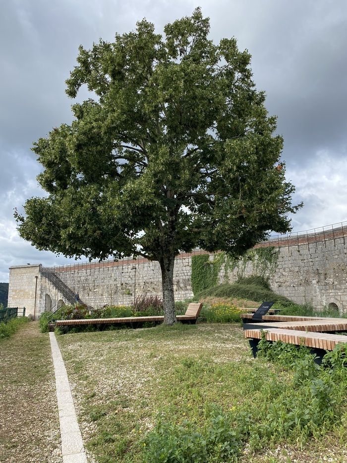 Lassen Sie sich im Vauban-Garten zu einem einzigartigen Erlebnis entführen, das Blick auf die umliegende Landschaft, Geräusche des Gartens und den Klang tibetischer Schalen kombiniert. Von Fanny Vanto