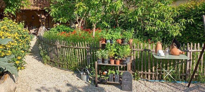 Nutzen Sie diese neue Ausgabe von Rendez-vous aux jardins, um unseren Garten frei zu entdecken!