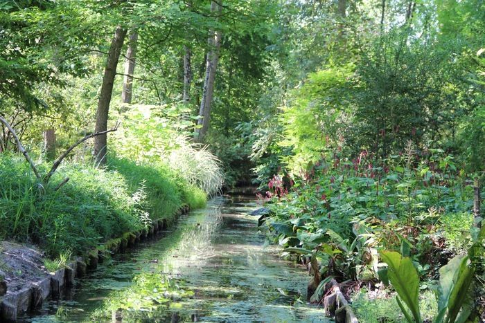 Selbstgeführte Besichtigung des Arboretumgartens, bei der Entdeckung einer Vielzahl von Pflanzen in verschiedenen Farben, dem Klang von Vögeln und dem Rauschen von Bäumen und dem Duft von Blumen. Das