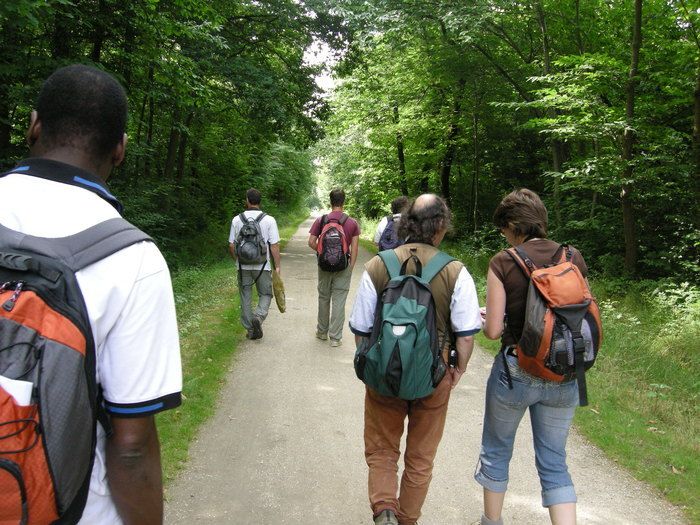 BALADE / Découverte et sensibilisation à la faune et l'avifaune qui peuple de parc.