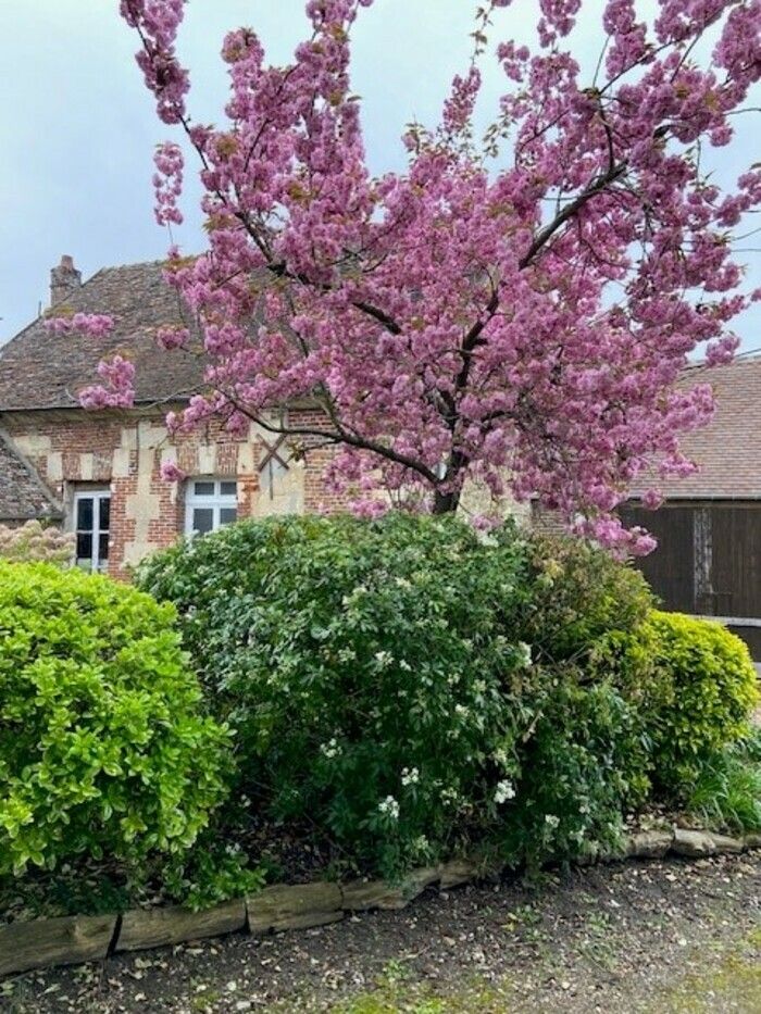 Wir treffen uns in meinem Garten, am Samstag 01/Juni von 11.00 bis 18.30 Uhr.