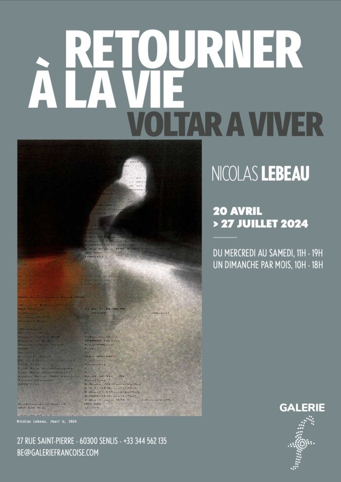 Première exposition personnelle de l'artiste Nicolas Lebeau à la Galerie F