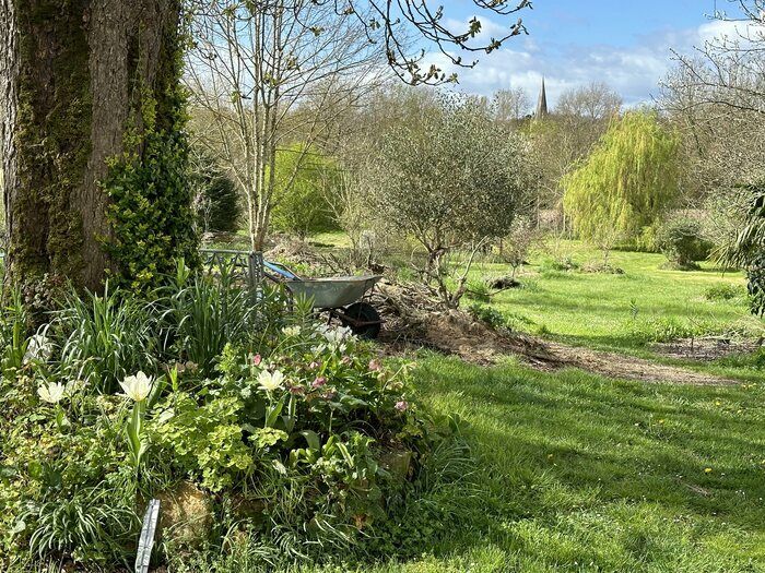 In Cairnhill arbeiten wir an der Entwicklung der Biodiversität. Indem wir ein Gleichgewicht zwischen ästhetischen Entscheidungen und Umweltbelangen finden, erhalten wir einen Garten, der frei von Pest