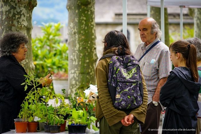 Tauschen Sie Ihre Pflanzen im Garten des Pyrenäen-Museums.