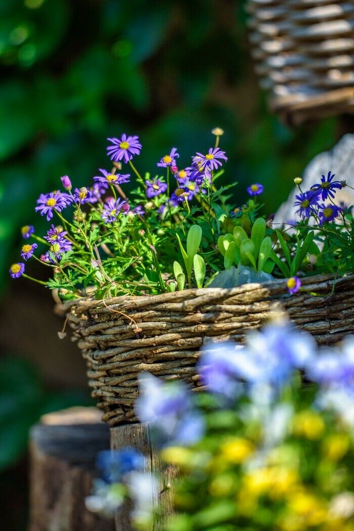 Das diesjährige Thema, die fünf Sinne, entspricht ganz dem Garten der Künstler in Gras: der Anblick der Arben, der Blumen, des Gehörs mit dem Gesang der Vögel, des Geruchs, der vom Duft gekitzelt wird