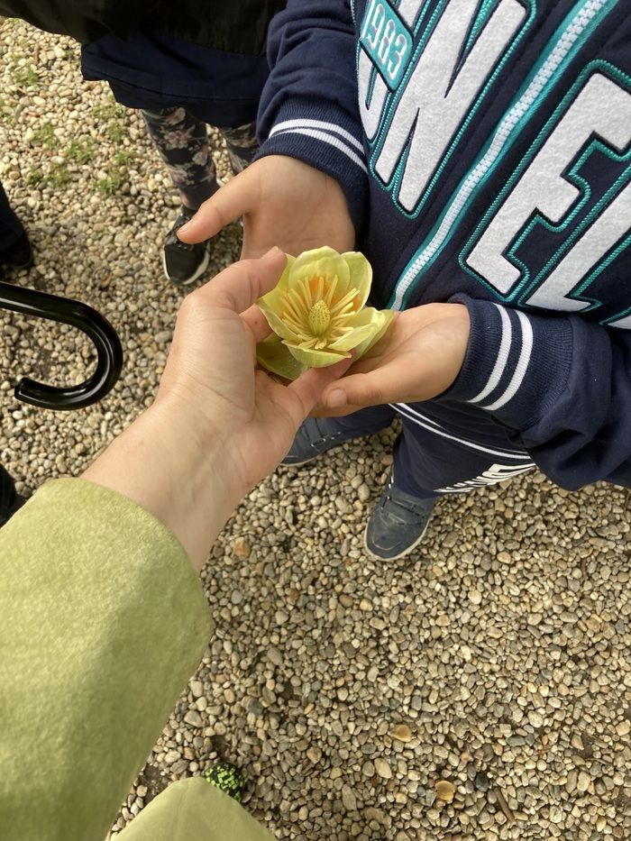 Aktivitäten mit Kindern mit Behinderungen sind eine Herausforderung für alle. Aus diesem Grund dachten wir im Botanischen Garten "D. Brândza"an eine Aktivität, bei der Kinder durch ihre Sinne (taktil…