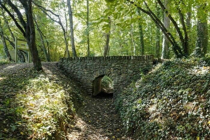Une promenade sur les traces du réseau qui subsistent en forêt de Meudon : ponts, ponceaux, rigoles, aqueducs souterrains...