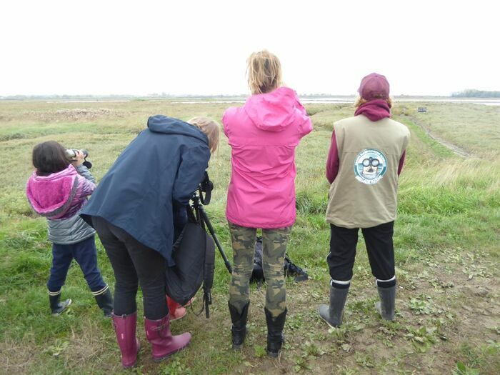 Partez à la découverte des phoques veaux-marins qui aiment se prélasser sur les bancs de sable de l’estuaire à marée basse.  
Tout public (dès 8 ans).
(2-3km/1h) - Niveau 1