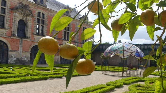 Chantal erklärt die verschiedenen Funktionen der großen Parks und Gärten in der Renaissance und illustriert den Besuch mit den Gärten der Orangerie von La Mothe Saint-Héray im 17\. Jahrhundert